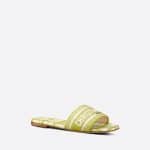 Dior Lime Checkn Dway Slide