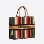 Dior Multicolor D-Stripes Book Tote