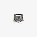 Givenchy Natural Elaphe Small Whip Bag