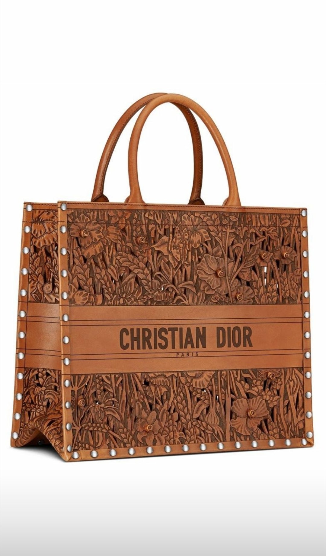 Dior Laser Cut book tote - Cruise 2021