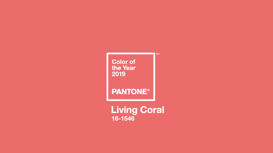 2019 Color Of The Year