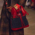 Gucci Red/Blue Hobo Bag - Cruise 2019