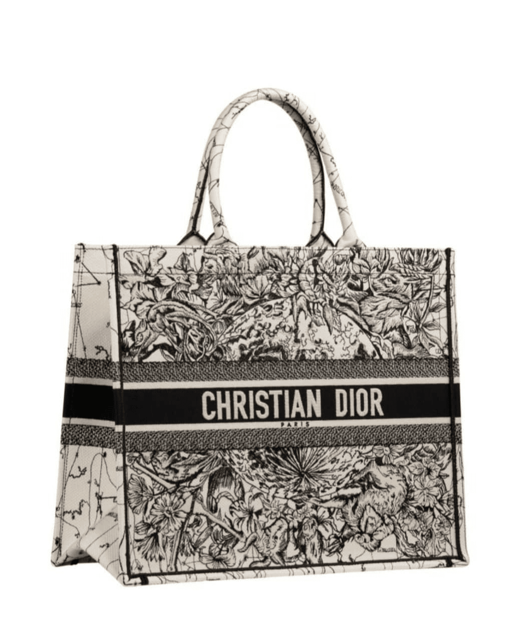 Dior Book Tote Zodiac Embroidery - Cruise 2021